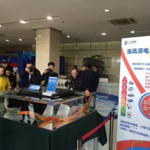 荣威e550的电池在鱼缸里泡五天，结果会怎样？