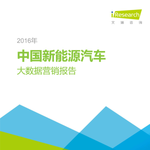 2016年中国新能源汽车大数据营销报告