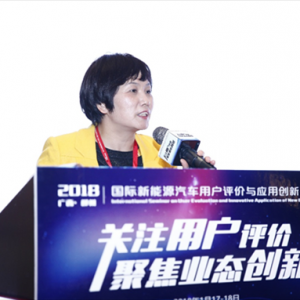 中国共享汽车已领先世界 新能源车占比超90%