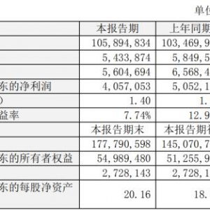 一年少赚10个亿，比亚迪如此折腾为哪般？