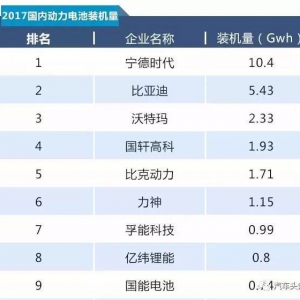 电池巨头“沃特玛”的陨落之路