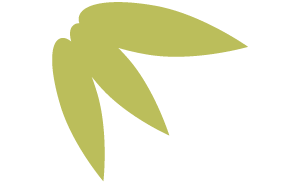锂电池老化制度对电池性能的影响
