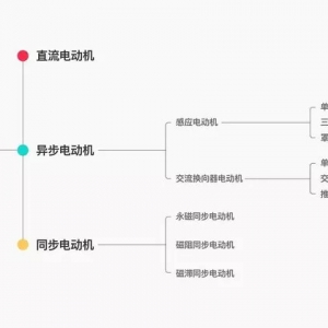 感应/永磁电机两兄弟，为何国内车企偏爱永磁电动机？