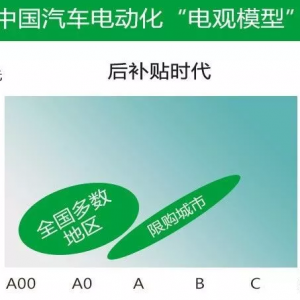 分享：中国汽车电动化模型