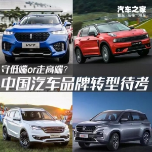 高端之外 中国品牌还应坚守中低端市场