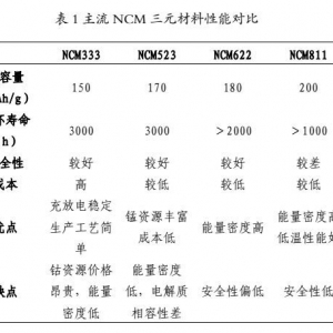 国内外电动汽车关键技术对比分析