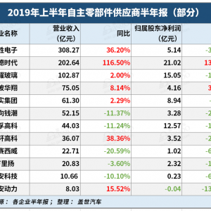 自主零部件企业半年报：日子都不好过，低利润或成常态