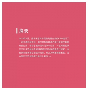 新能源汽车独角兽报告