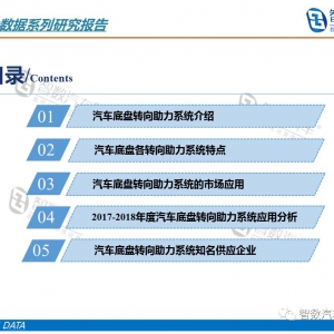 国内乘用车市场底盘转向助力系统配置趋势研究（2019版）