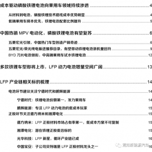 锂电池行业专题报告：磷酸铁锂电池迎来强复苏